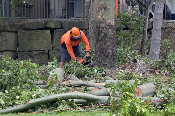 Best Utility Line Clearance  in Brigantine, NJ